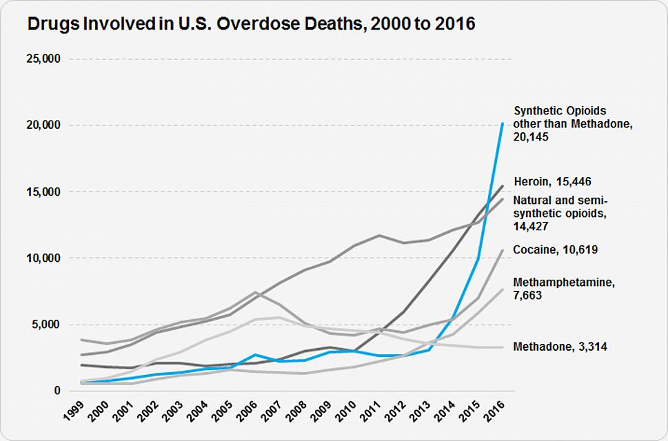 Opioid Drug Overdose Deaths